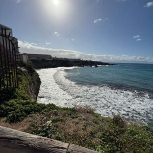 WhatsApp Image 2025-10-28 at 14.31.50